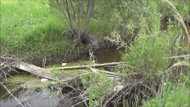 Муромцево самая короткая ночь 2018г смотреть онлайн