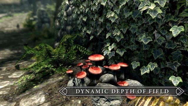 The Elder Scrolls V: Skyrim Special Edition — Новая графика! (HD) E3 2016 смотреть онлайн