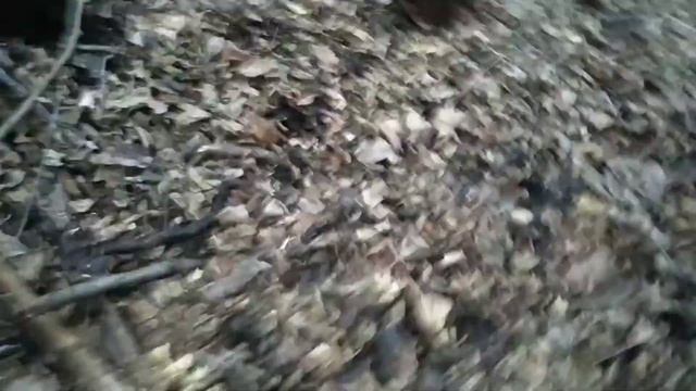 Тягаю дрова из леса.....мини-трактором 4х4.. смотреть онлайн