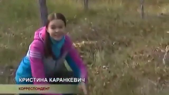 Как зарабатывают на клюкве жители Белынич. смотреть онлайн