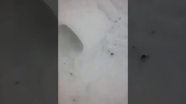 Фигуры из снега смотреть онлайн