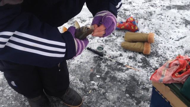 Ловим зимой. смотреть онлайн