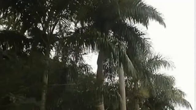 Остров Маврикий. просто необычно)) смотреть онлайн