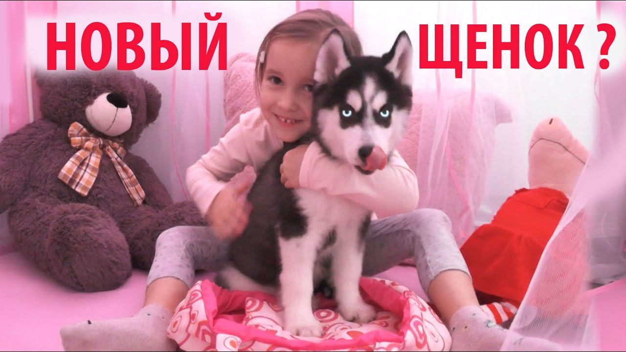 У НАС НОВЫЙ ПИТОМЕЦ? Играем с щенком Хаски смотреть онлайн