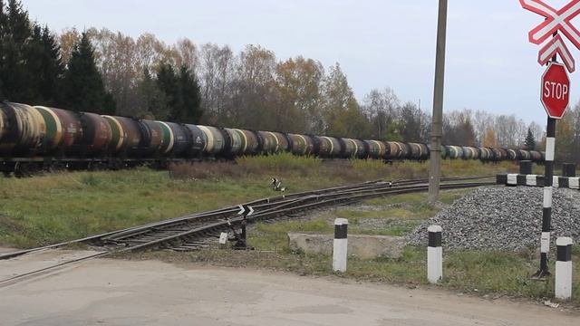 2ТЭ116-829 БТС с товарным поездом следует по перегону Любятово — Берёзки смотреть онлайн