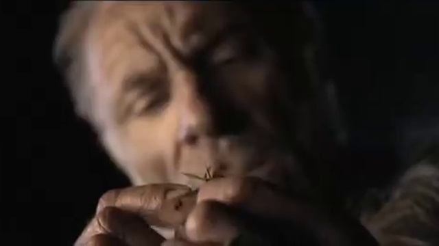 Sauna Trailer (HD - Best Quality)