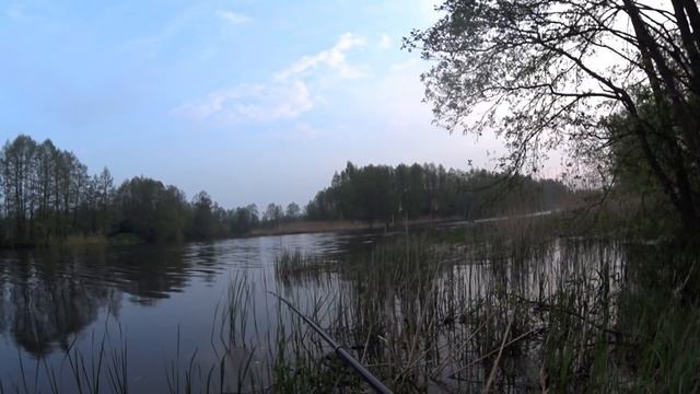 ВОТ ЭТО КЛЁВ! ТАБЛЕТКА СПАСАЕТ РЫБАЛКУ. Рыбалка на поплавок. Насадка для рыбалки. Убийца карася. смотреть онлайн