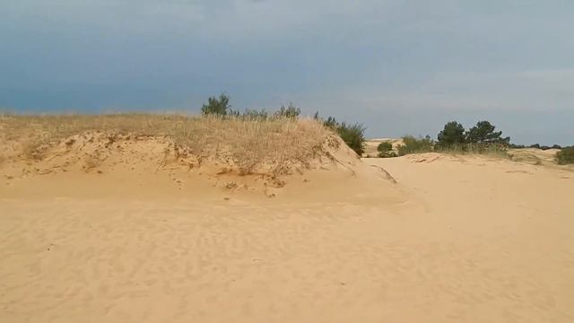 САМАЯ БОЛЬШАЯ ПУСТЫНЯ ЕВРОПЫ. УКРАИНА АЛЕШКИ смотреть онлайн