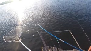 Ловля Карпа(сазана) на Поплавок. Рыбалка на удочку летом.