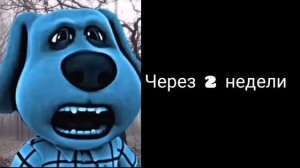 Каникулы начнутся через...