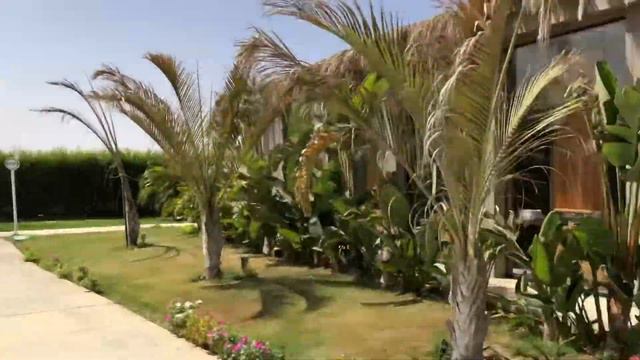 Обзор отеля для взрослых Джаз Алайя 5*/Jaz Alaya. Курорт Марса Алам. Сайт oksana.travel. смотреть онлайн