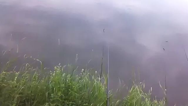 Рыбалка. Старая Обь. Заломная. смотреть онлайн