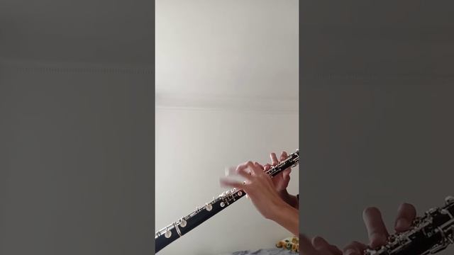 KILLER QUEEN BIT ZA DASTO but on oboe смотреть онлайн
