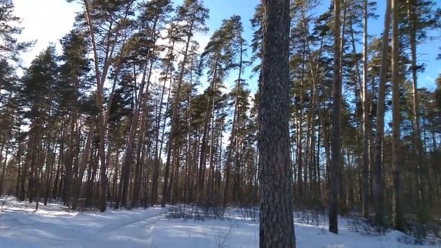 сказка о правде (не все осилят её) смотреть онлайн