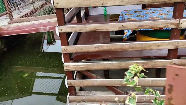 Fikkalay Gaon Kalimpong | একদম নতুন একটি Offbeat Destination । Kapchakay's FarmStay | смотреть онлайн