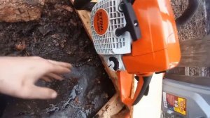 Пилю дрова новой Штиль 250