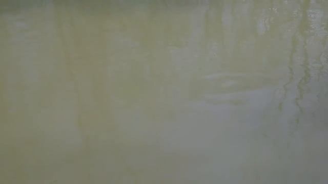 Весенняя рыбалка на р. Яуза 15 марта. Float fishing bleak and gardon on Yauza river - 15 of march. смотреть онлайн