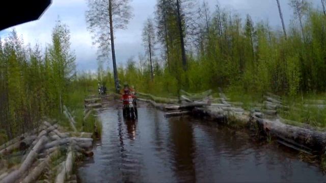 Поездка через коровий хребет 2017