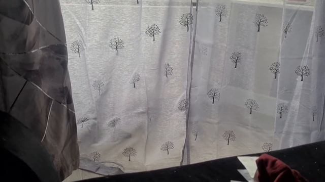 ВЛОГ голубь( вяхирь) как проходит лечение..борьба за жизнь смотреть онлайн