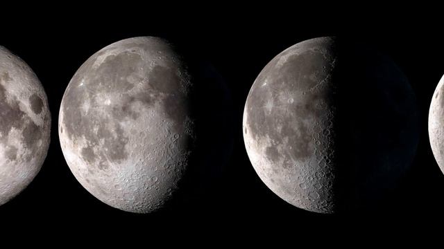 Кто такие лунные драконы (фазовые / драконы луны)? смотреть онлайн