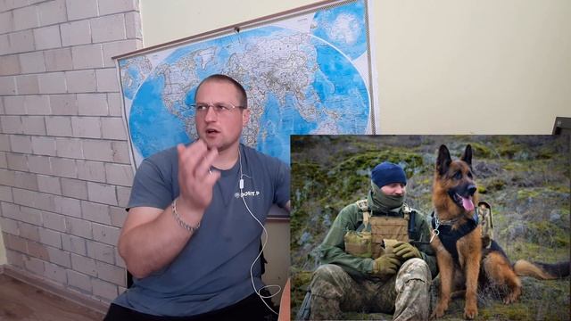 Лучшие собаки для Охраны двора и дома. Топ 3 породы которые знают сваю работу. Ротвейлер, Немецкая смотреть онлайн