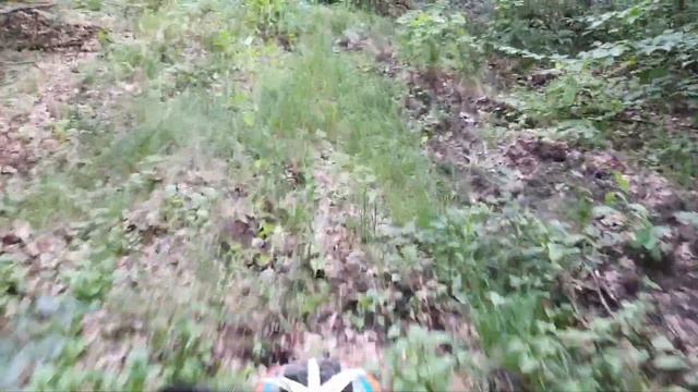 ПОКАТУШКА ЖАРКИМ ЛЕСОМ #169 смотреть онлайн