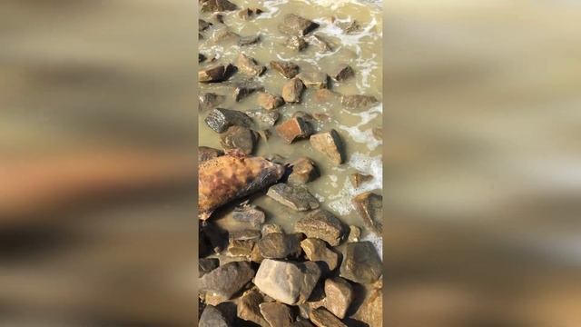 Ейск в начале сентября. Море и рыбалка. смотреть онлайн