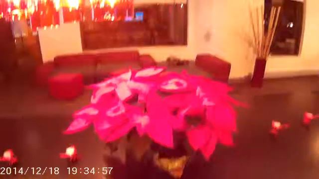 Подъезд в нашем доме смотреть онлайн