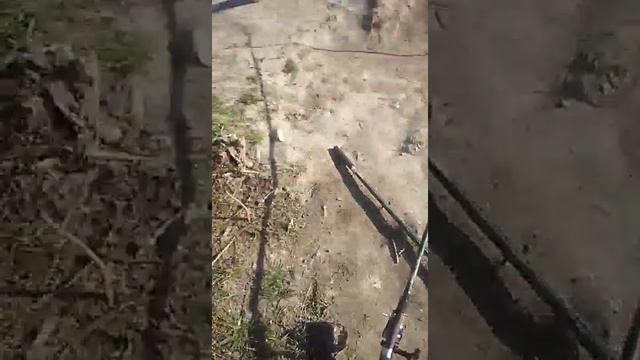 пробная рыбалка Днестр смотреть онлайн
