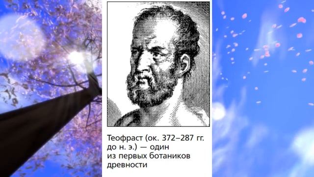 Биология 6 кл., § 1 "Царство Растения. Внешнее строение и общая характеристика растений" смотреть онлайн