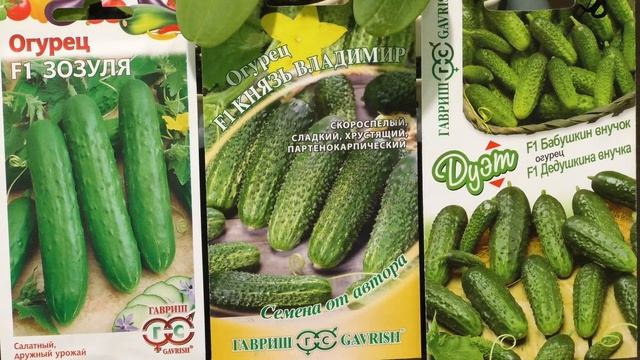 Огурцы. Выбор лучших гибридов 2019. Рассада огурцов(укр)