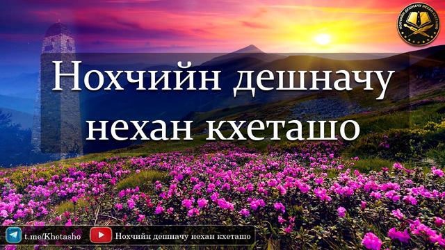 Эфир: Ӏилма доцуш динах къамел дар 22.01.2023 смотреть онлайн
