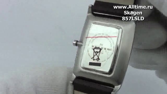 Мужские наручные часы Skagen 857LSLD смотреть онлайн