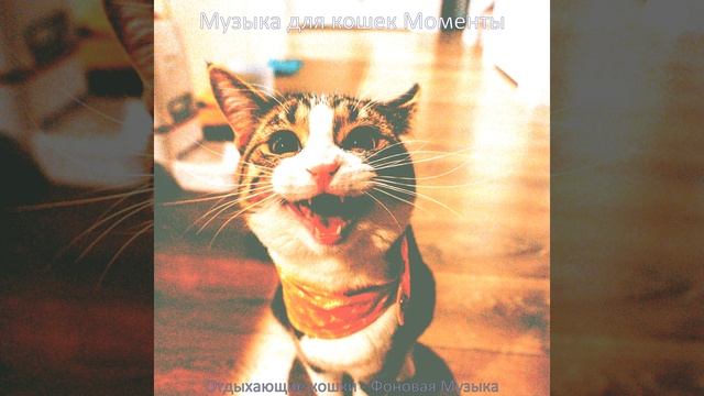 Музыка (Мечта) смотреть онлайн