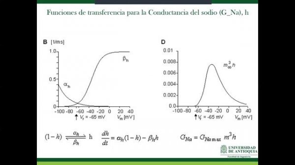 Bioelectromagnetismo, Método Voltage Clamp, Patch Clamp y modelo Hodgkin Huxley, Parte 3