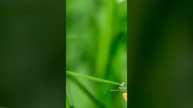 молитва к Архангелу Гавриилу смотреть онлайн