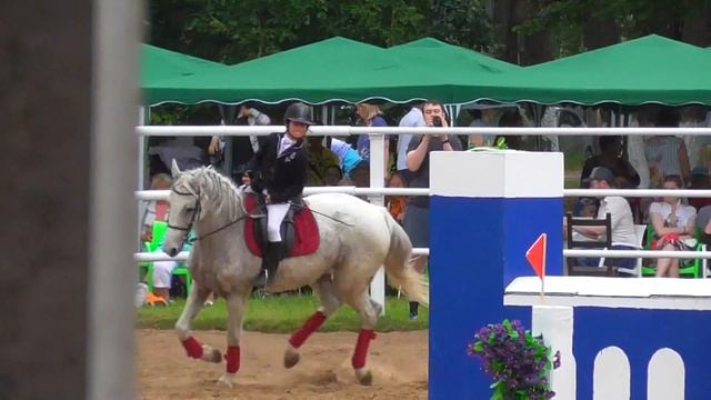 Русская версия арабской лошади! Лошадь терской породы. Конкур. 1 место. смотреть онлайн