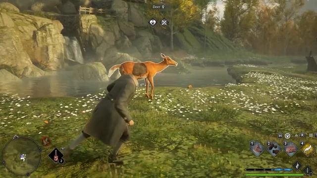 10 Hogwarts Legacy Mods die das Spiel noch VIEL BESSER Machen | Haus ändern, Drachen reiten & Mehr! смотреть онлайн