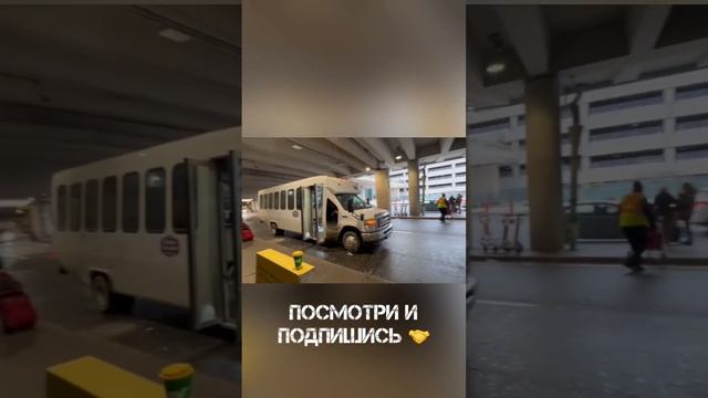 Первая неделя в Канаде. CUAET #youtube #cuaet #top #shortvideo #канада #eugeneprotattoo смотреть онлайн