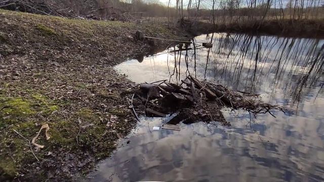 КУРЯТНИК НА 10 КУР // своими руками смотреть онлайн