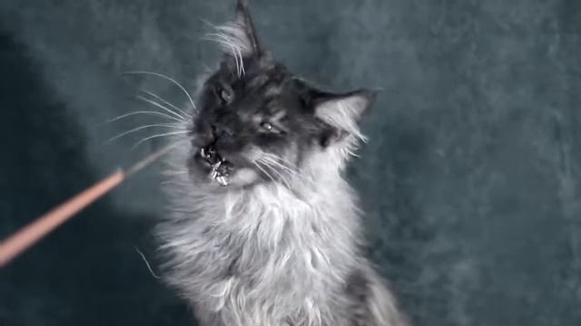 Мальчик черный дым классика мейн кун смотреть онлайн