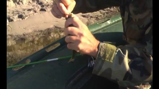 Україна, Десна, Головень. смотреть онлайн
