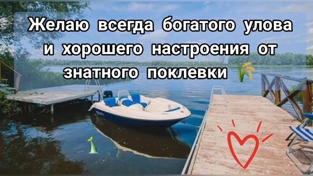 С Днём Рыбака! Поздравления с Днем рыбака 2022 ? смотреть онлайн