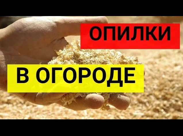 Чтобы опилки перепрели быстро для огорода, что сделать смотреть онлайн