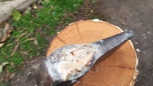 Секрет плотников. Лучший способ насадки топора (колуна) на топорище. Топор (колун) больше не слетит