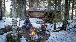 ИЗБА В ТАЙГЕ. ЧУТЬ НЕ ПОМЕР ОТ ТАКОГО УЖИНА. РЫБАЛКА.