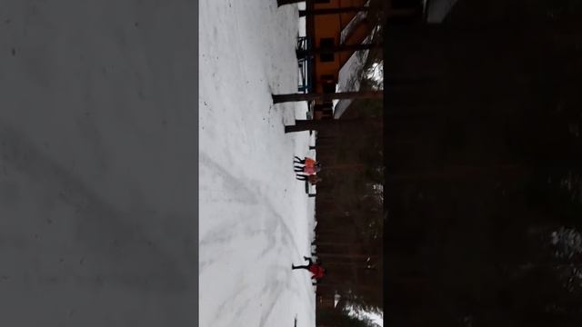 мотособака -детям развлекуха смотреть онлайн