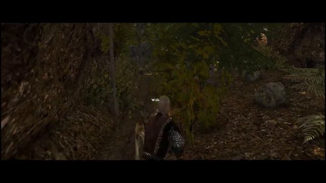 5 NADCHODZĄCYCH MODYFIKACJI DO GOTHIC 1 oraz 2! смотреть онлайн