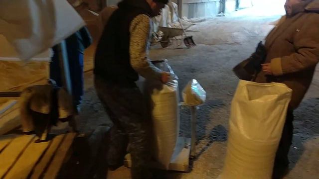 Фасовка солода в мешки по 40кг. Очистка солода с помощью воздушного сепаратора Alma-15. смотреть онлайн