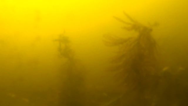 ЛОВЛЯ КАРАСЯ НА ГОРОДСКИХ КАРЬЕРАХ ч.2-я.ЛОВЛЯ НА МАХОВУЮ УДОЧКУ смотреть онлайн